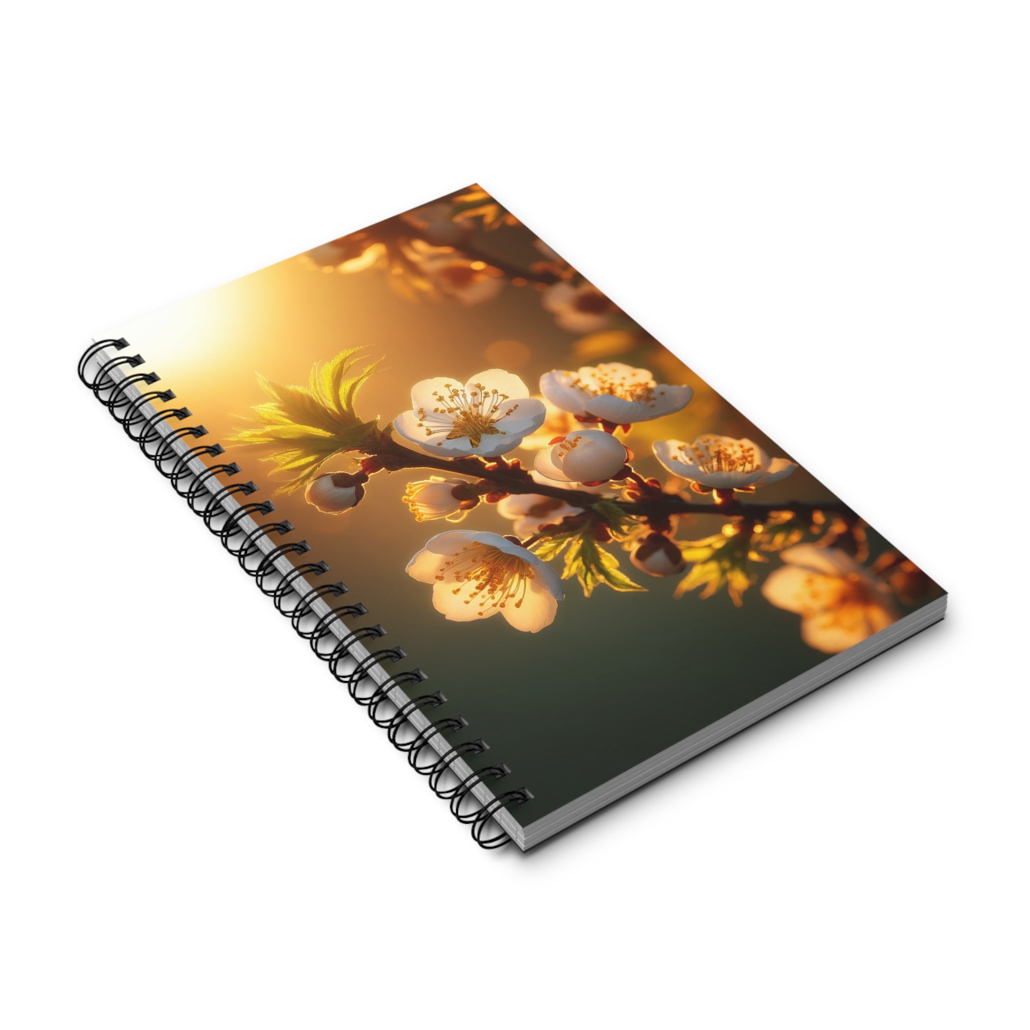 White flowers in sunset (3) - Spiral Journal