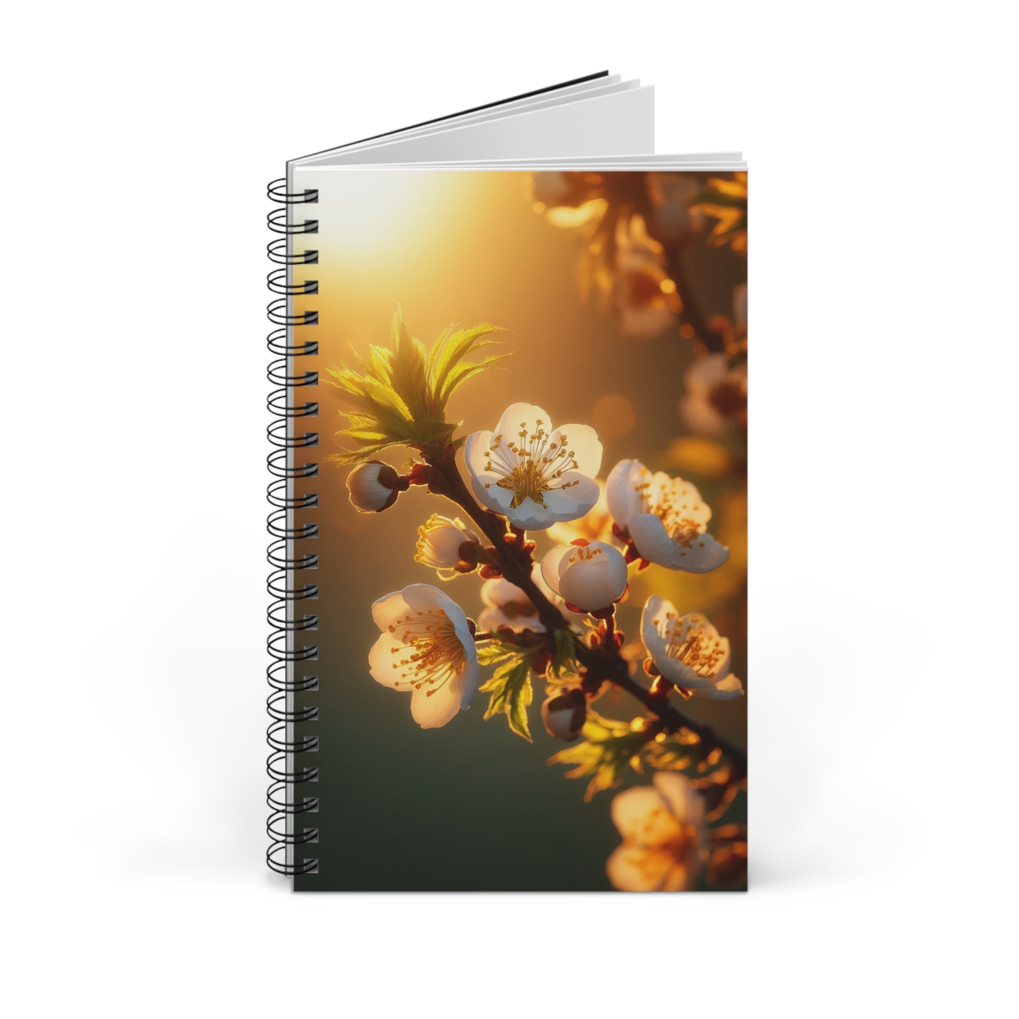 White flowers in sunset (3) - Spiral Journal