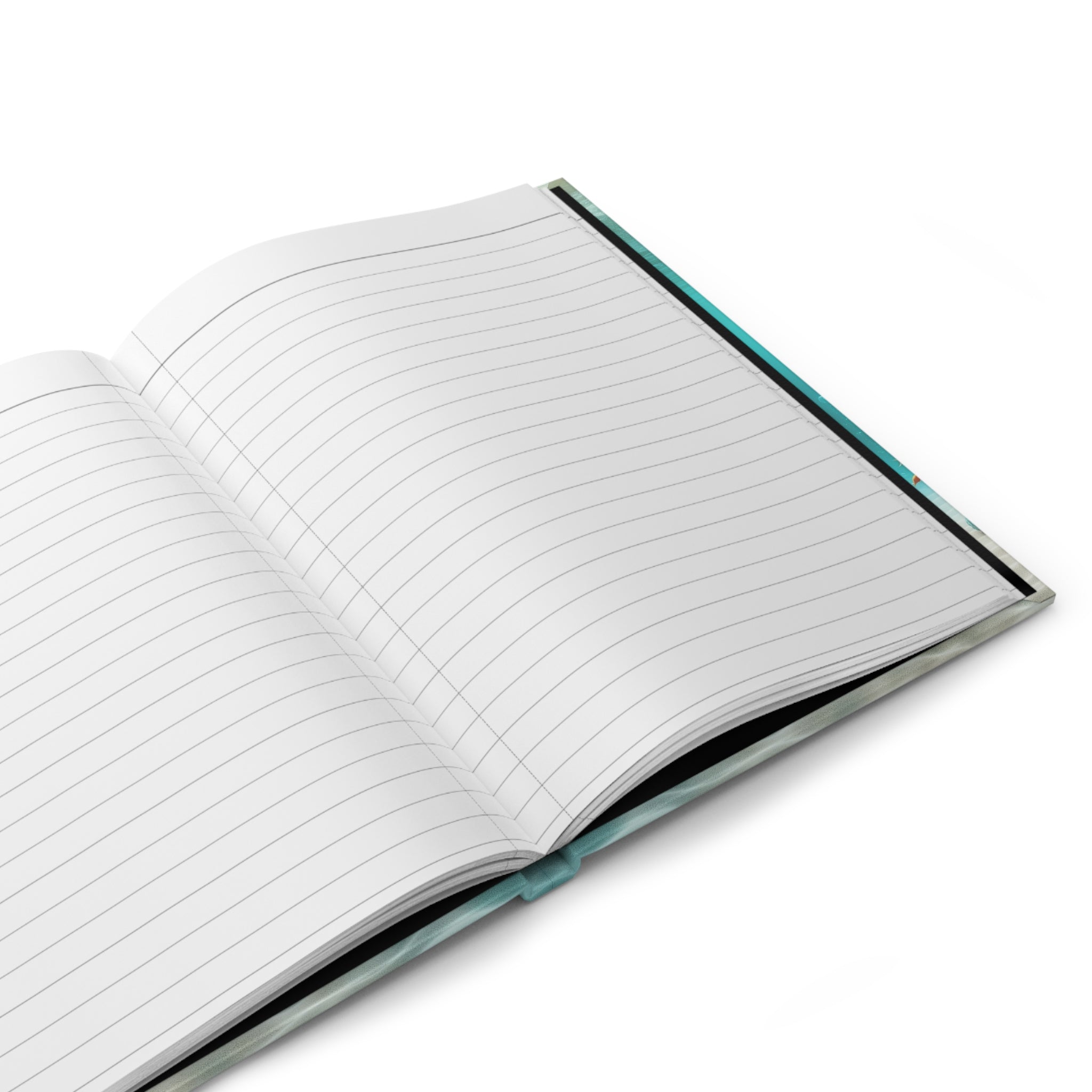 Turtles - Hardcover Notebook