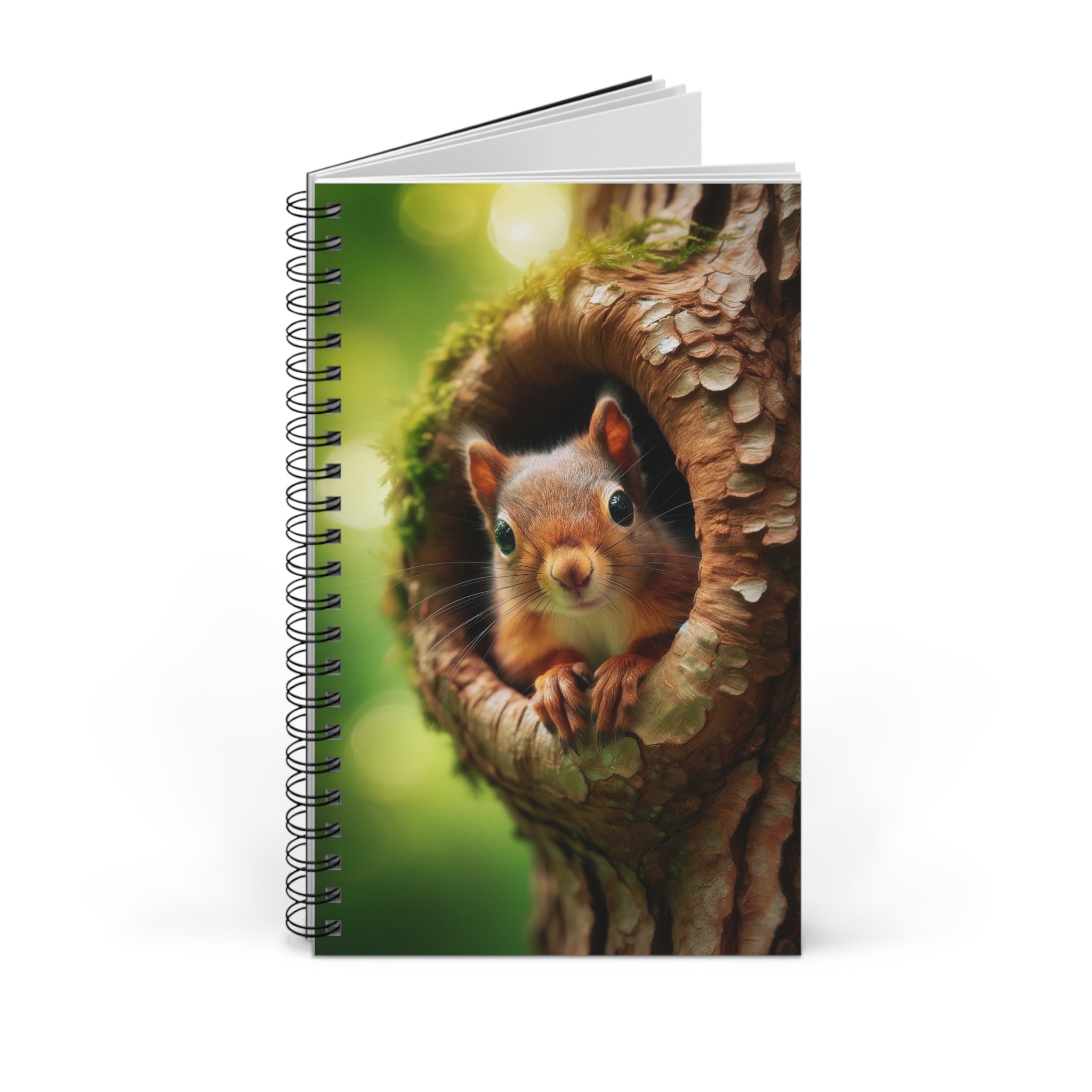 Squirrel in tree - Spiral Journal (EU)